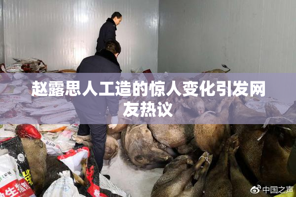 赵露思人工造的惊人变化引发网友热议