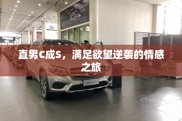直男C成S，满足欲望逆袭的情感之旅