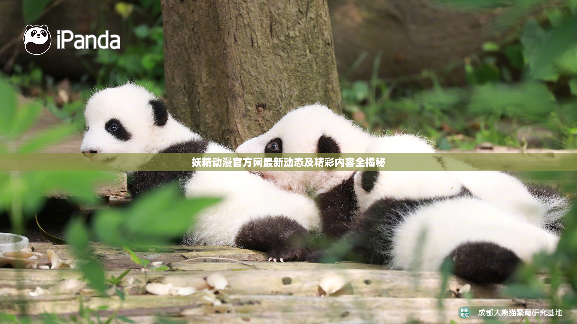 妖精动漫官方网最新动态及精彩内容全揭秘