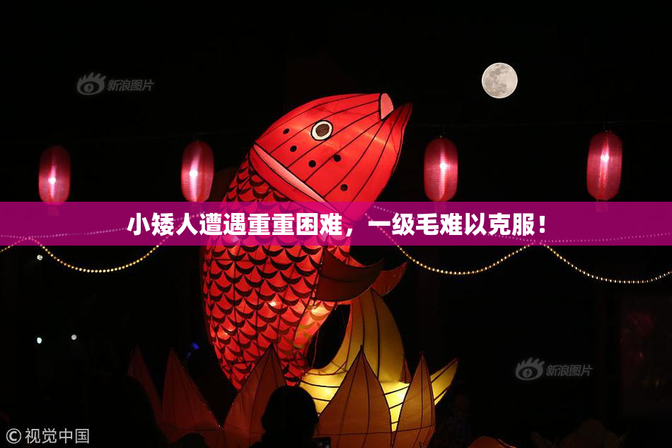 小矮人遭遇重重困难，一级毛难以克服！