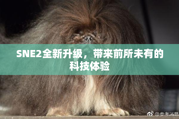 SNE2全新升级，带来前所未有的科技体验