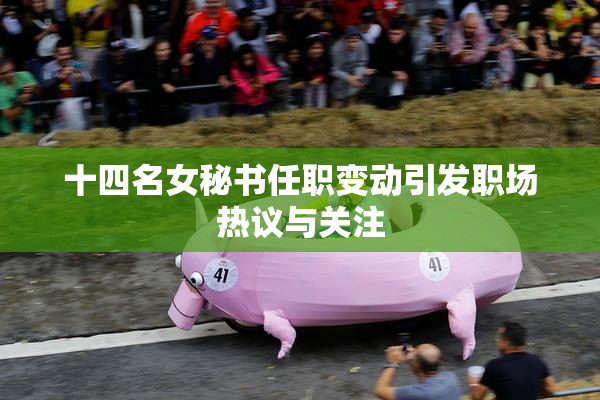十四名女秘书任职变动引发职场热议与关注