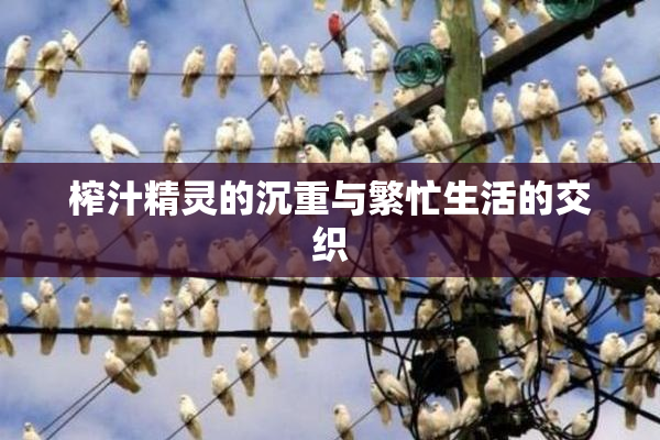 榨汁精灵的沉重与繁忙生活的交织