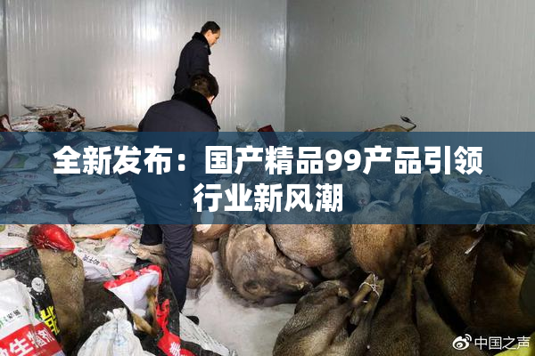 全新发布：国产精品99产品引领行业新风潮