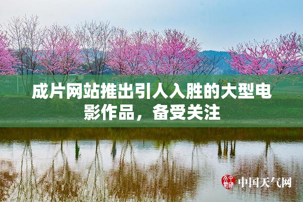 成片网站推出引人入胜的大型电影作品，备受关注