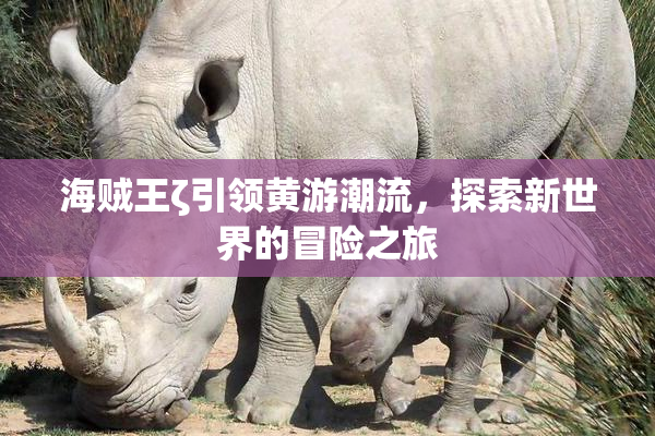 海贼王ζ引领黄游潮流，探索新世界的冒险之旅