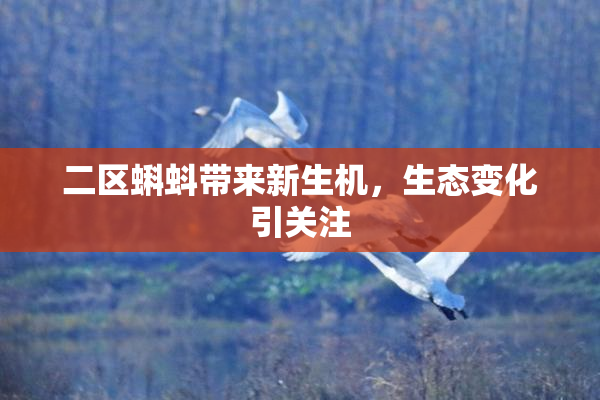 二区蝌蚪带来新生机，生态变化引关注