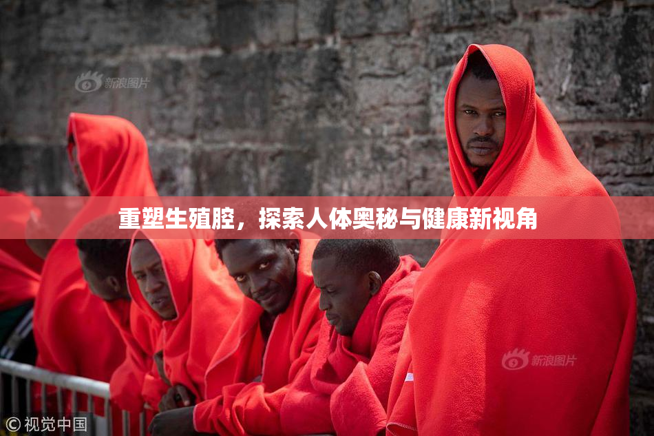 重塑生殖腔，探索人体奥秘与健康新视角