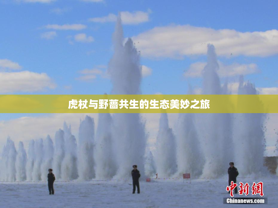 虎杖与野蔷共生的生态美妙之旅
