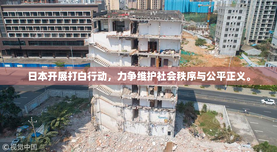 日本开展打白行动，力争维护社会秩序与公平正义。