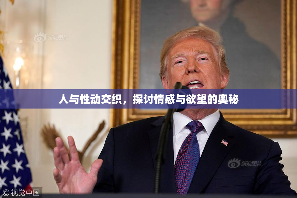 人与性动交织，探讨情感与欲望的奥秘