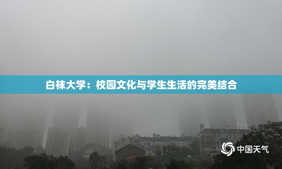 白袜大学：校园文化与学生生活的完美结合