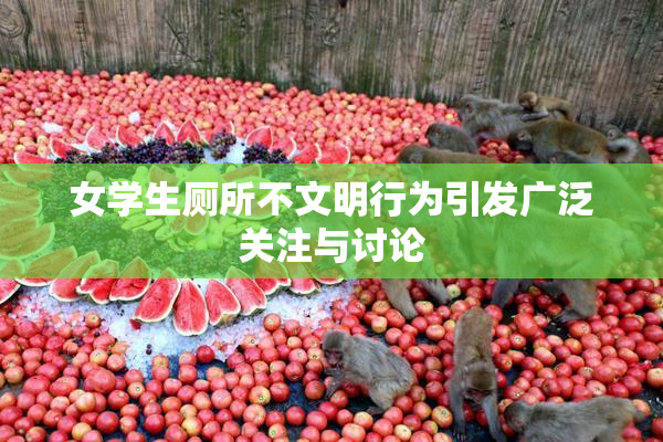 女学生厕所不文明行为引发广泛关注与讨论