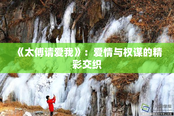 《太傅请爱我》：爱情与权谋的精彩交织