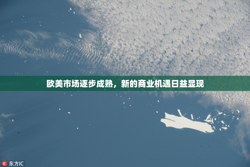 欧美市场逐步成熟，新的商业机遇日益显现