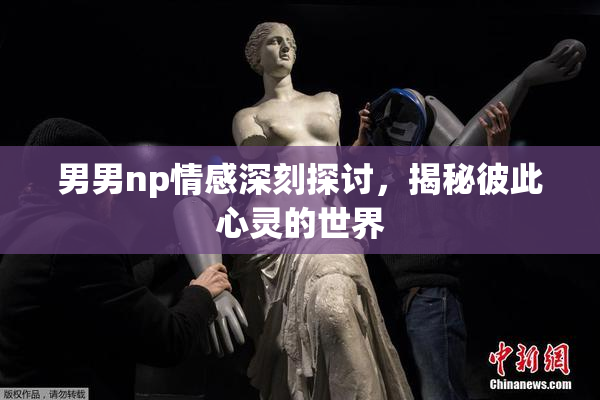 男男np情感深刻探讨，揭秘彼此心灵的世界