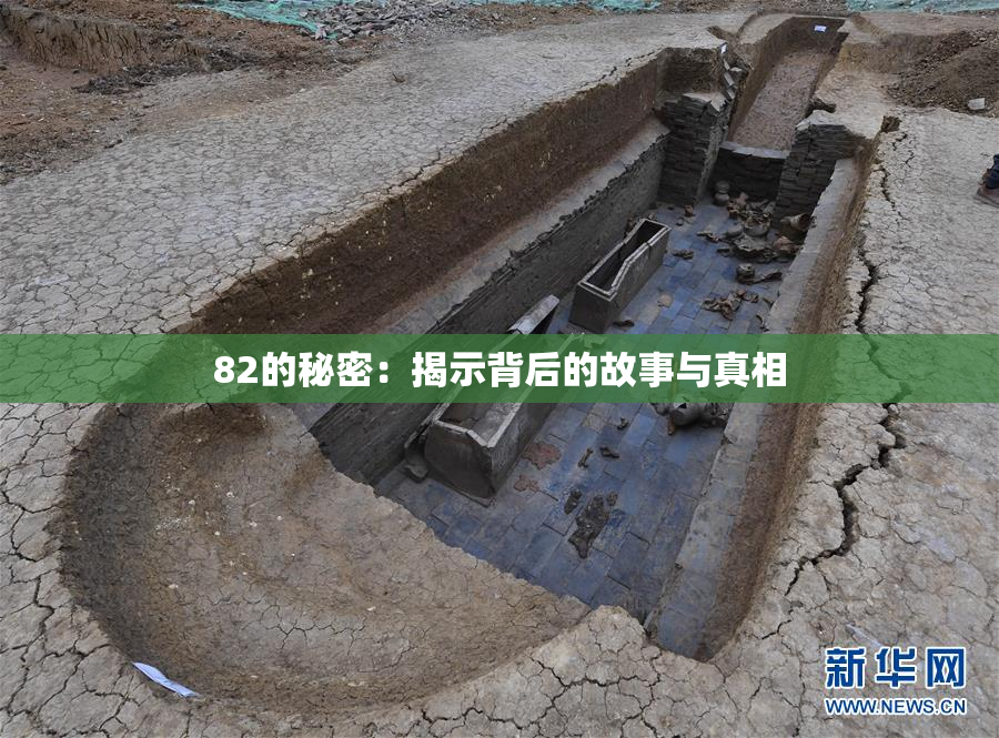 82的秘密：揭示背后的故事与真相