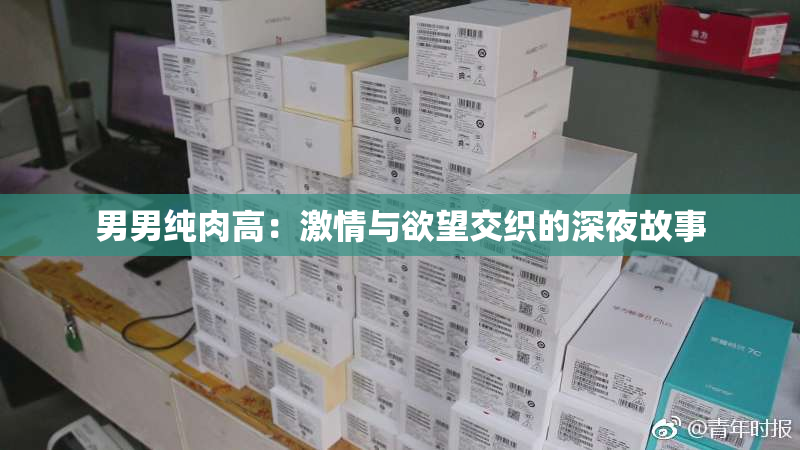 男男纯肉高：激情与欲望交织的深夜故事