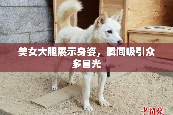 美女大胆展示身姿，瞬间吸引众多目光