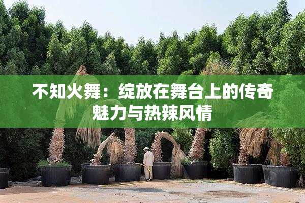 不知火舞：绽放在舞台上的传奇魅力与热辣风情