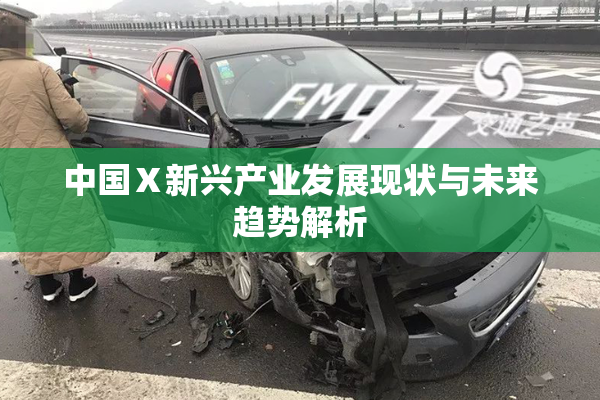 中国Ⅹ新兴产业发展现状与未来趋势解析