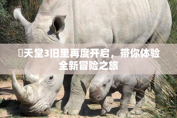 妺天堂3旧里再度开启，带你体验全新冒险之旅