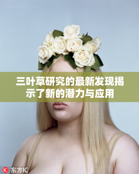 三叶草研究的最新发现揭示了新的潜力与应用