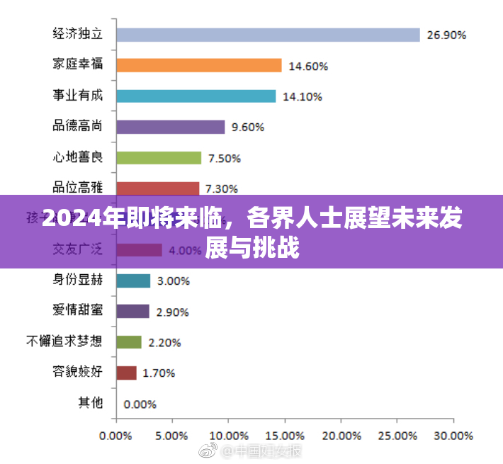 2024年即将来临，各界人士展望未来发展与挑战