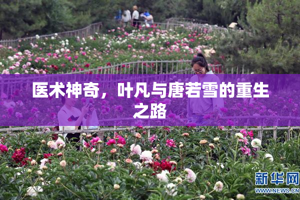 医术神奇，叶凡与唐若雪的重生之路