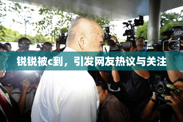 锐锐被c到，引发网友热议与关注