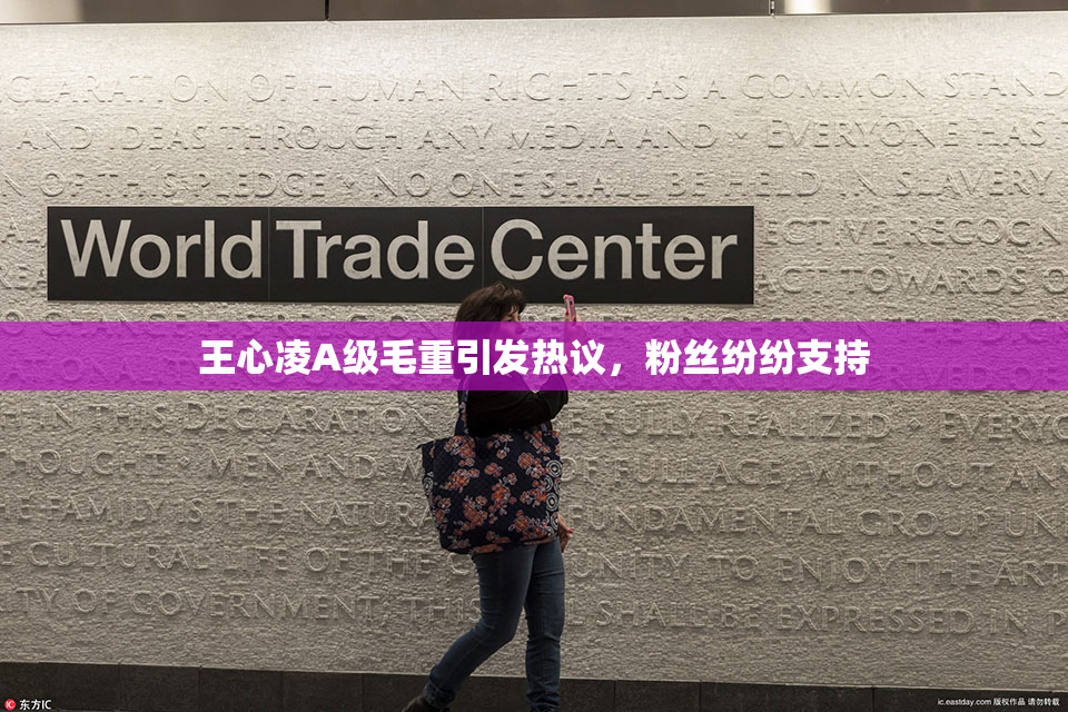 王心凌A级毛重引发热议，粉丝纷纷支持