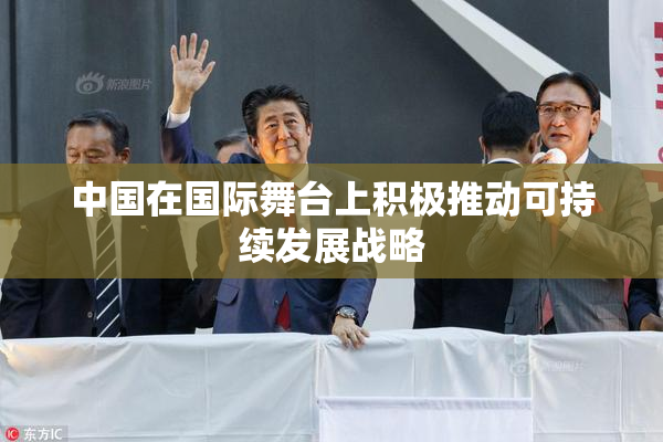 中国在国际舞台上积极推动可持续发展战略