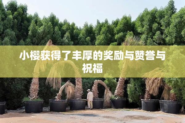 小樱获得了丰厚的奖励与赞誉与祝福