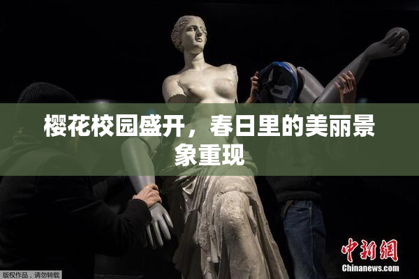 樱花校园盛开，春日里的美丽景象重现