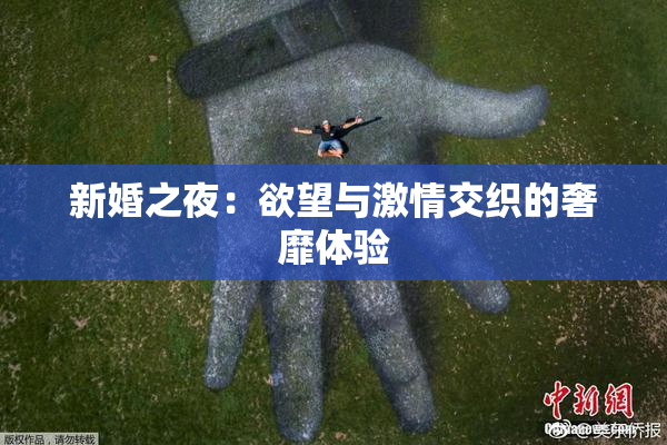 新婚之夜：欲望与激情交织的奢靡体验