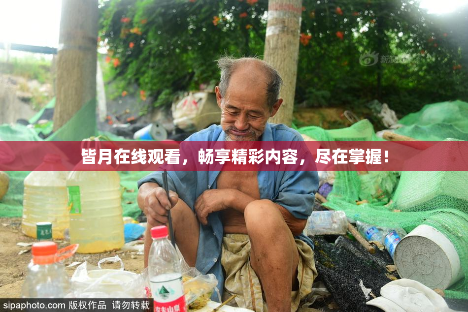 皆月在线观看，畅享精彩内容，尽在掌握！