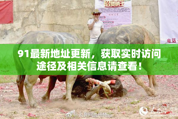 91最新地址更新，获取实时访问途径及相关信息请查看！