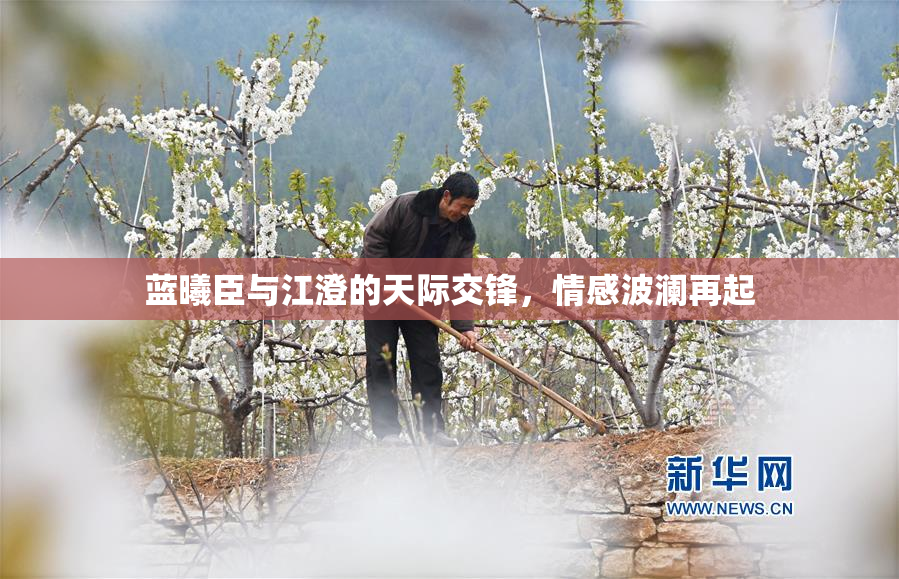 蓝曦臣与江澄的天际交锋，情感波澜再起