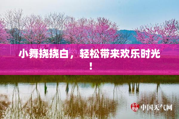 小舞挠挠白，轻松带来欢乐时光！