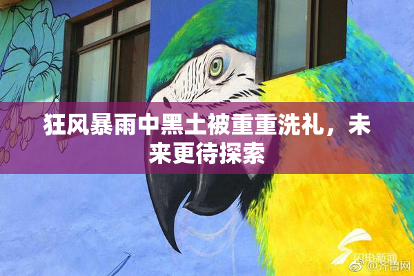狂风暴雨中黑土被重重洗礼，未来更待探索