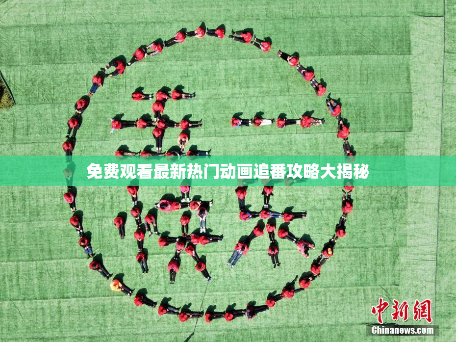 免费观看最新热门动画追番攻略大揭秘