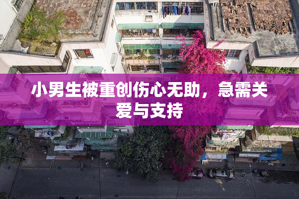 小男生被重创伤心无助，急需关爱与支持