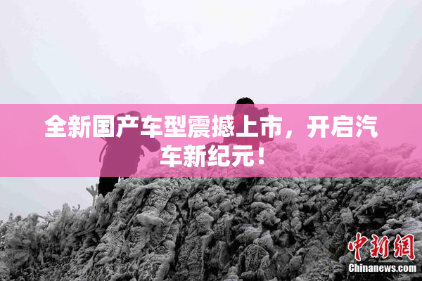 全新国产车型震撼上市，开启汽车新纪元！