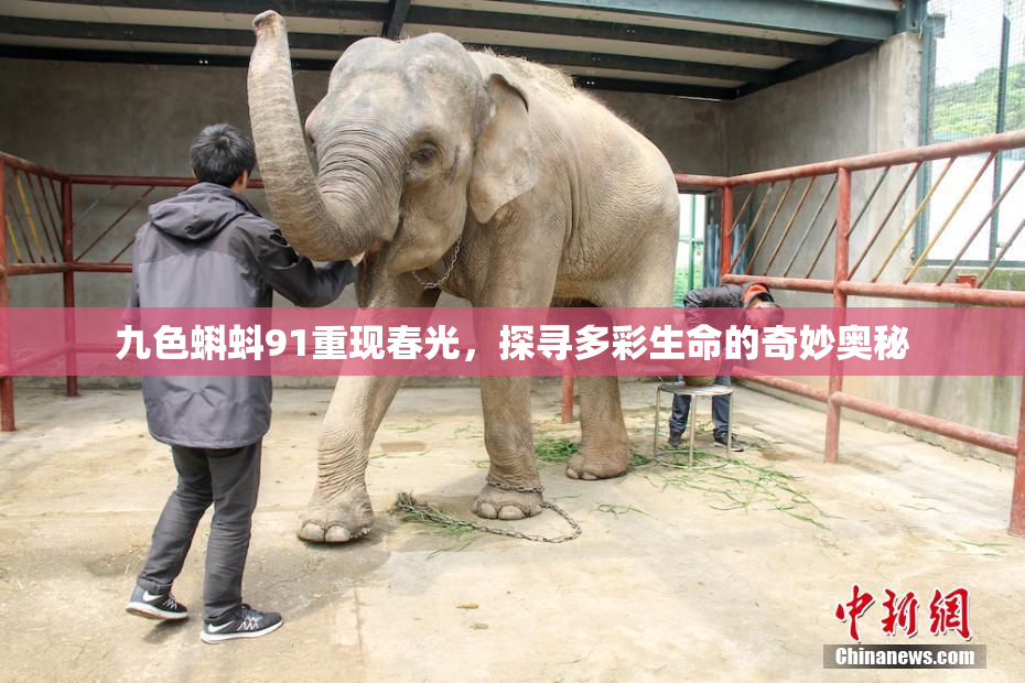 九色蝌蚪91重现春光，探寻多彩生命的奇妙奥秘