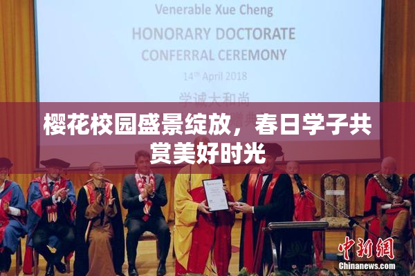 樱花校园盛景绽放，春日学子共赏美好时光