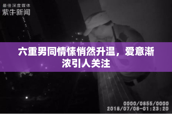 六重男同情愫悄然升温，爱意渐浓引人关注