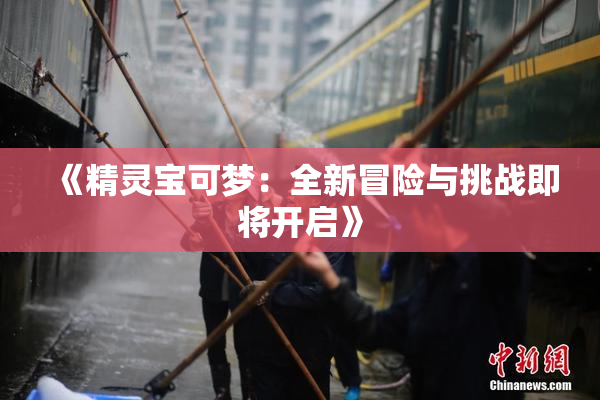 《精灵宝可梦：全新冒险与挑战即将开启》