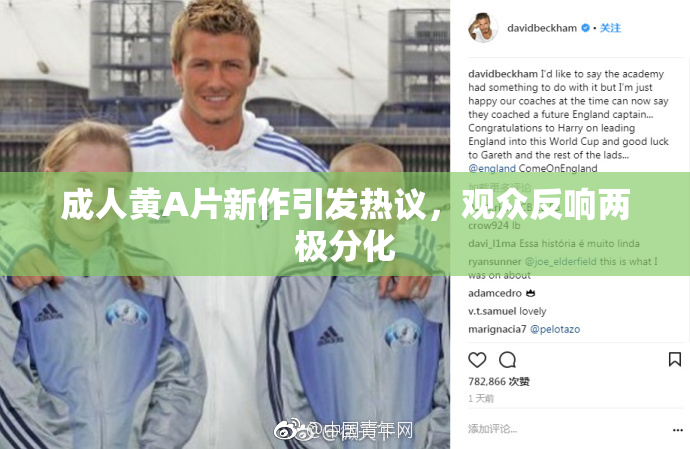 成人黄A片新作引发热议，观众反响两极分化