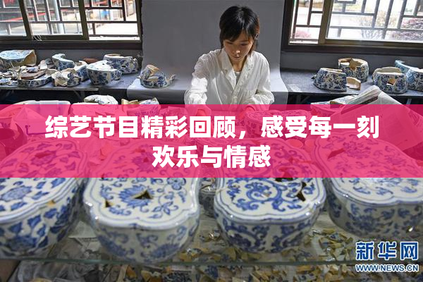 综艺节目精彩回顾，感受每一刻欢乐与情感