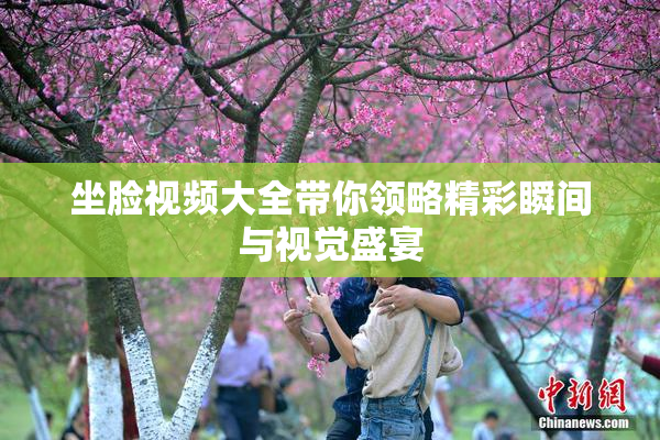 坐脸视频大全带你领略精彩瞬间与视觉盛宴